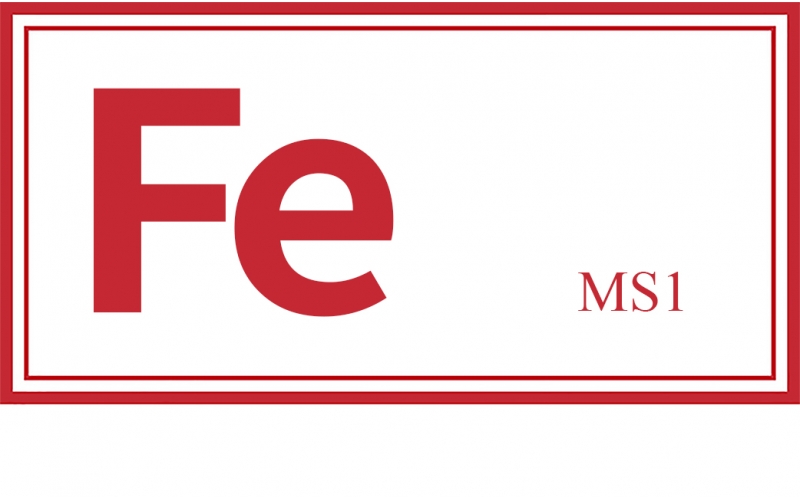 MS1